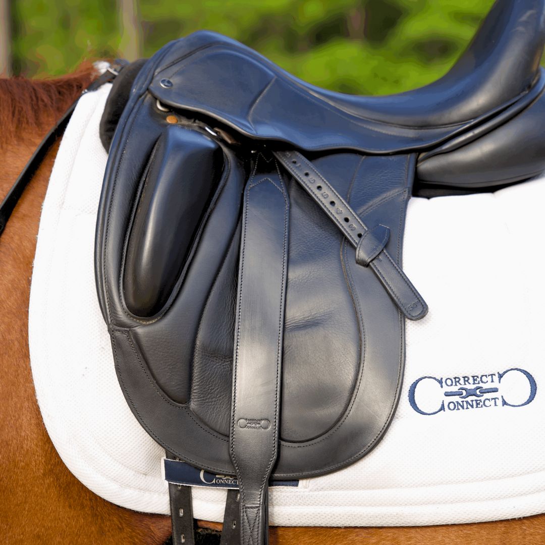 Stable Ride Stirrup Leathers w/removable keeper – CorrectConnect