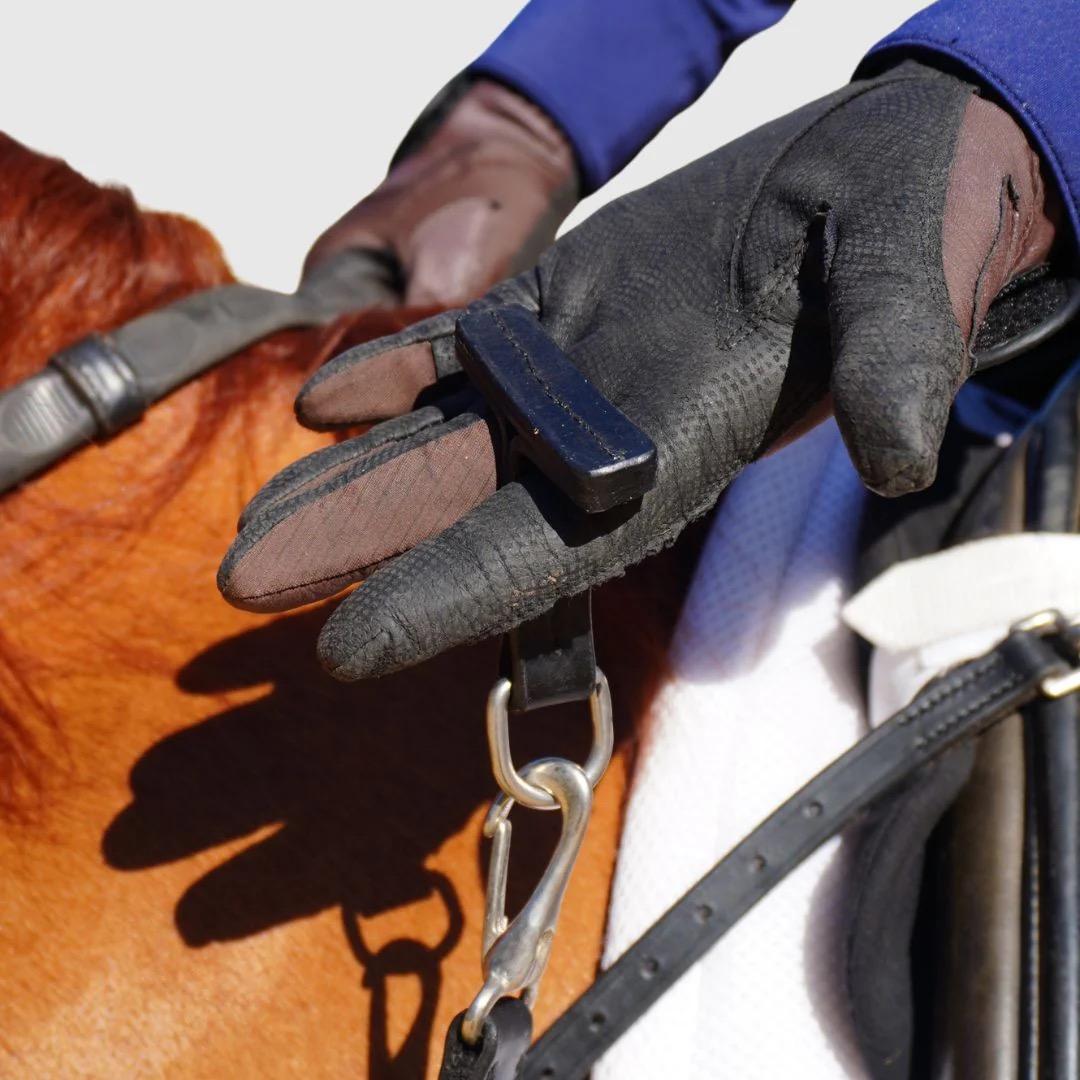 Equestrian Training Aid Comparison Guide: Which Training Aid Is Right for You?