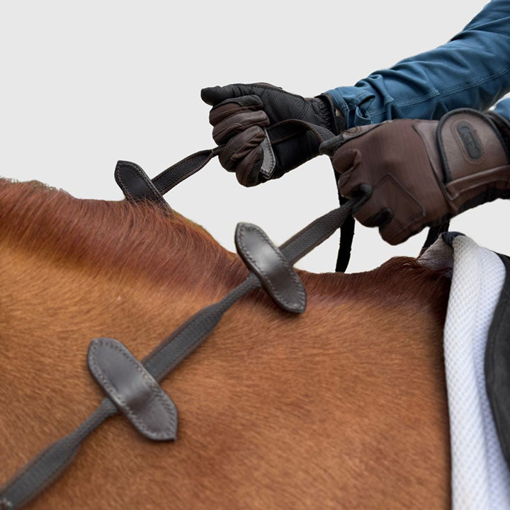 Training Reins: How They Work and Who Really Needs Them