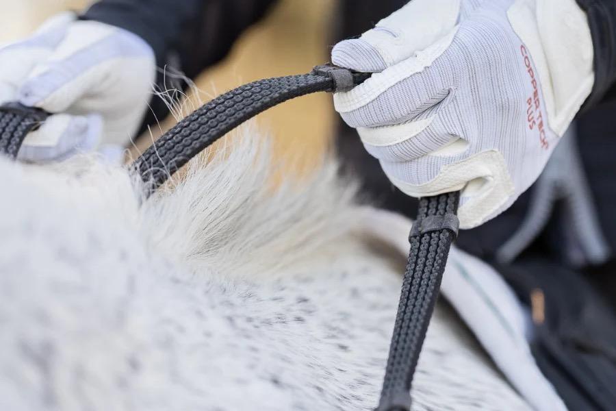 Best Dressage Reins: Rubber, Leather and Grip