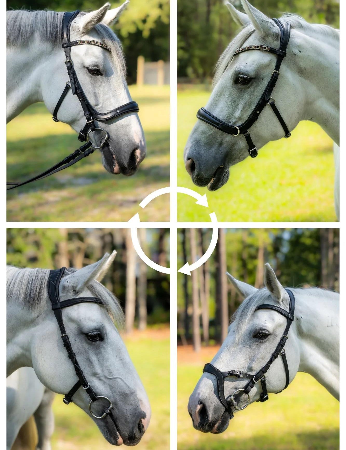 Horse Bridle Buying Guide