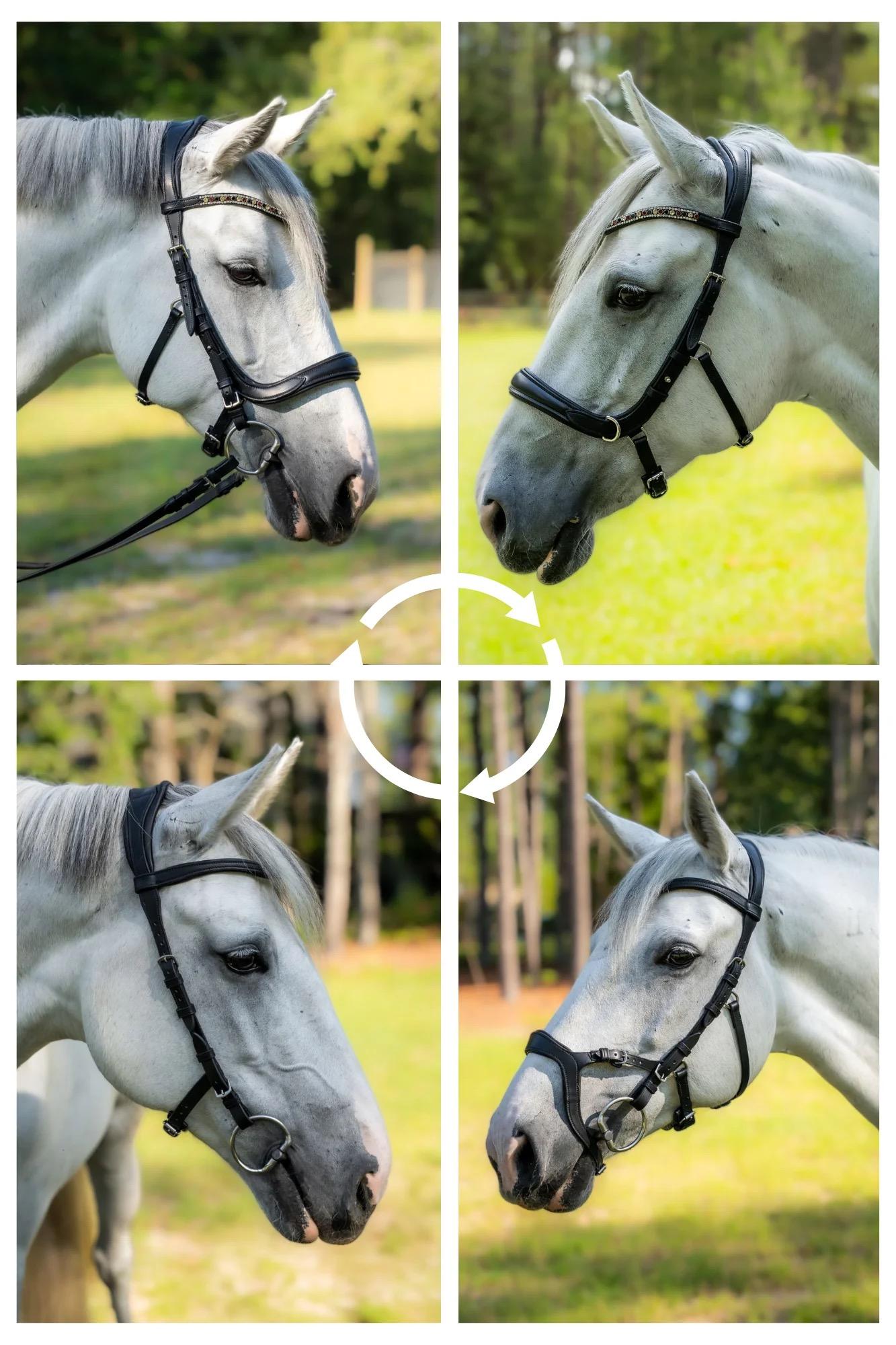 Horse Bridle Buying Guide