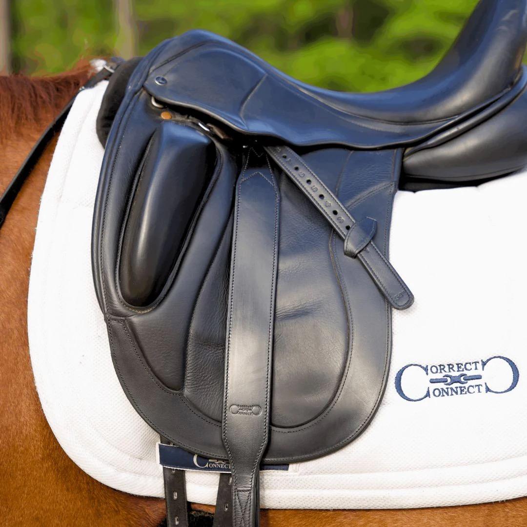 Wide Stirrup Leathers for Adult Riders
