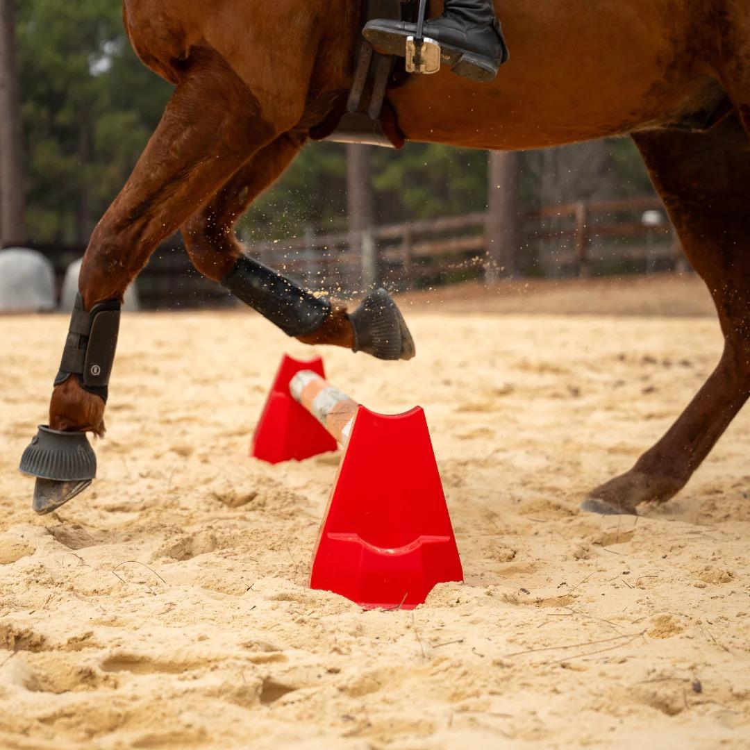 What is a Pylonetti? The Versatile Cavaletti Tool Every Rider Should Have
