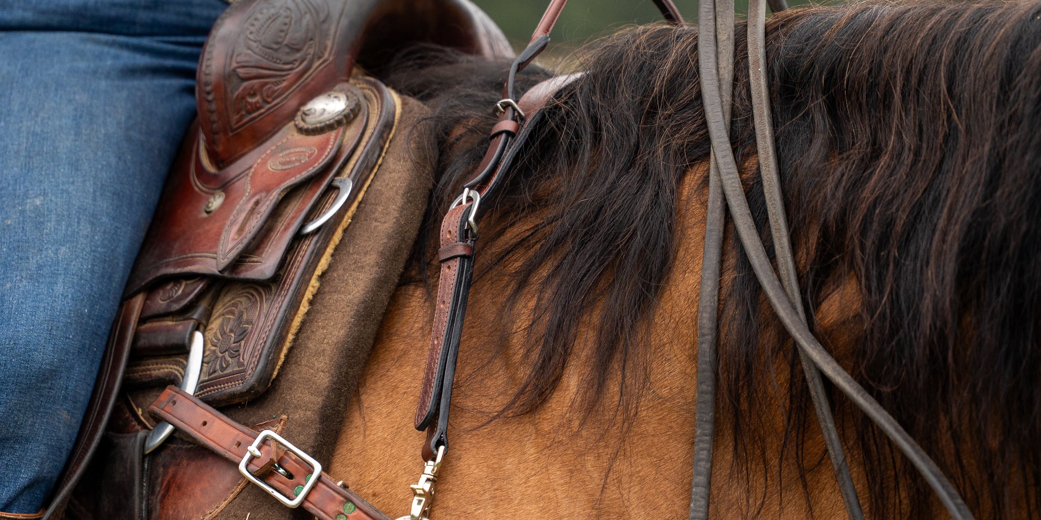 Western Tack