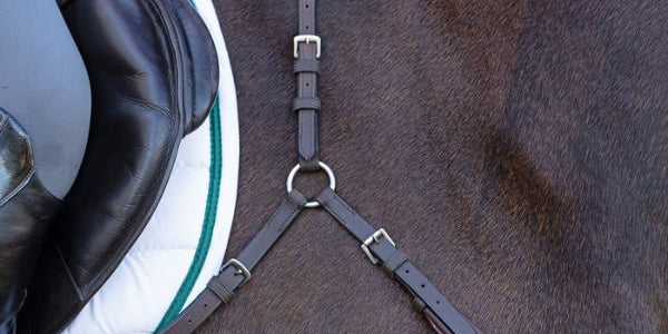 Collection Line Correct Coonnect Find Ride Correct Connect Products Near You – Store Locator ...