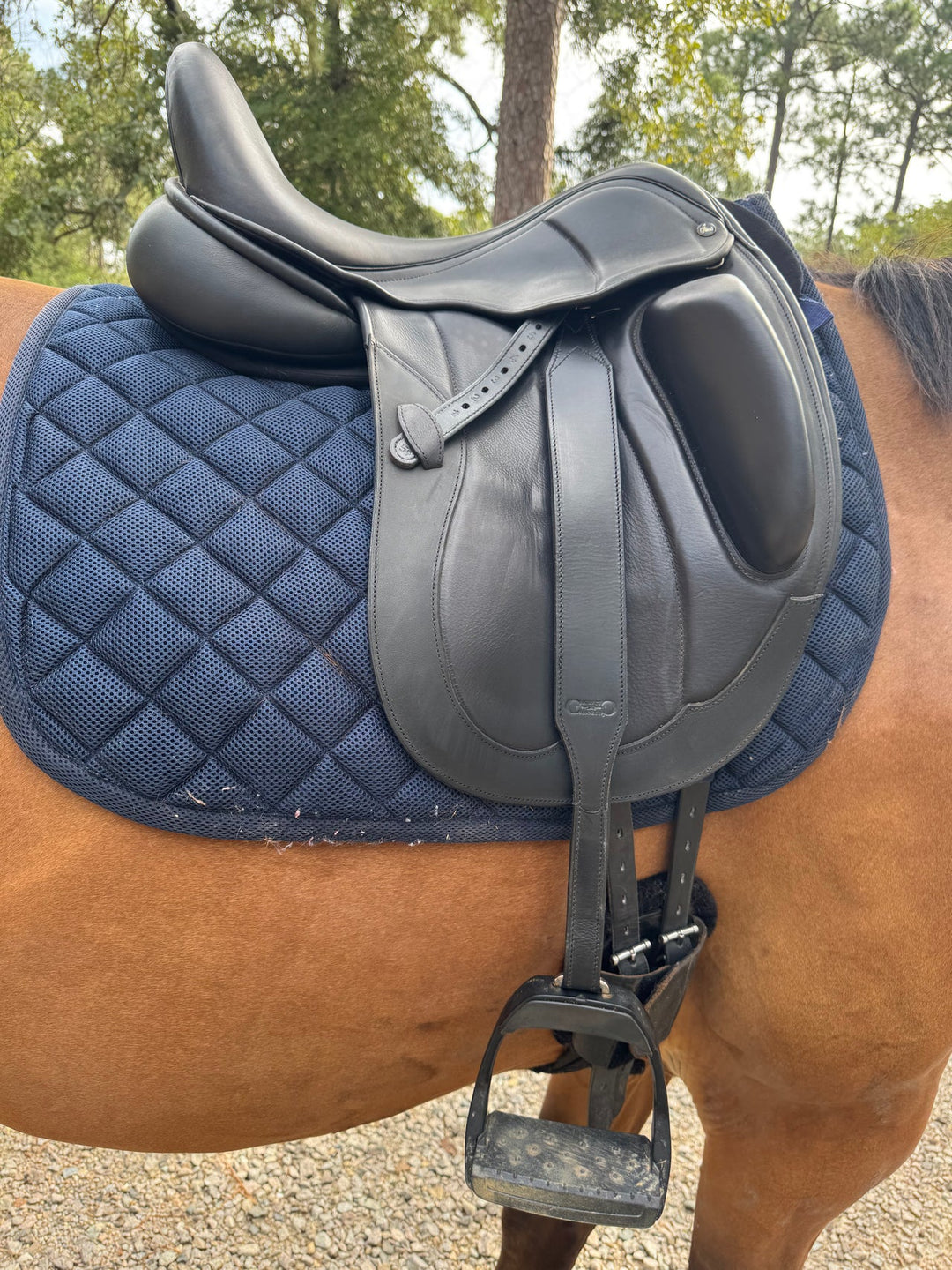 Correct Riding Aids Correct Connect™ – Equestrian Training Aids, Tack, Reins, & Apparel ...