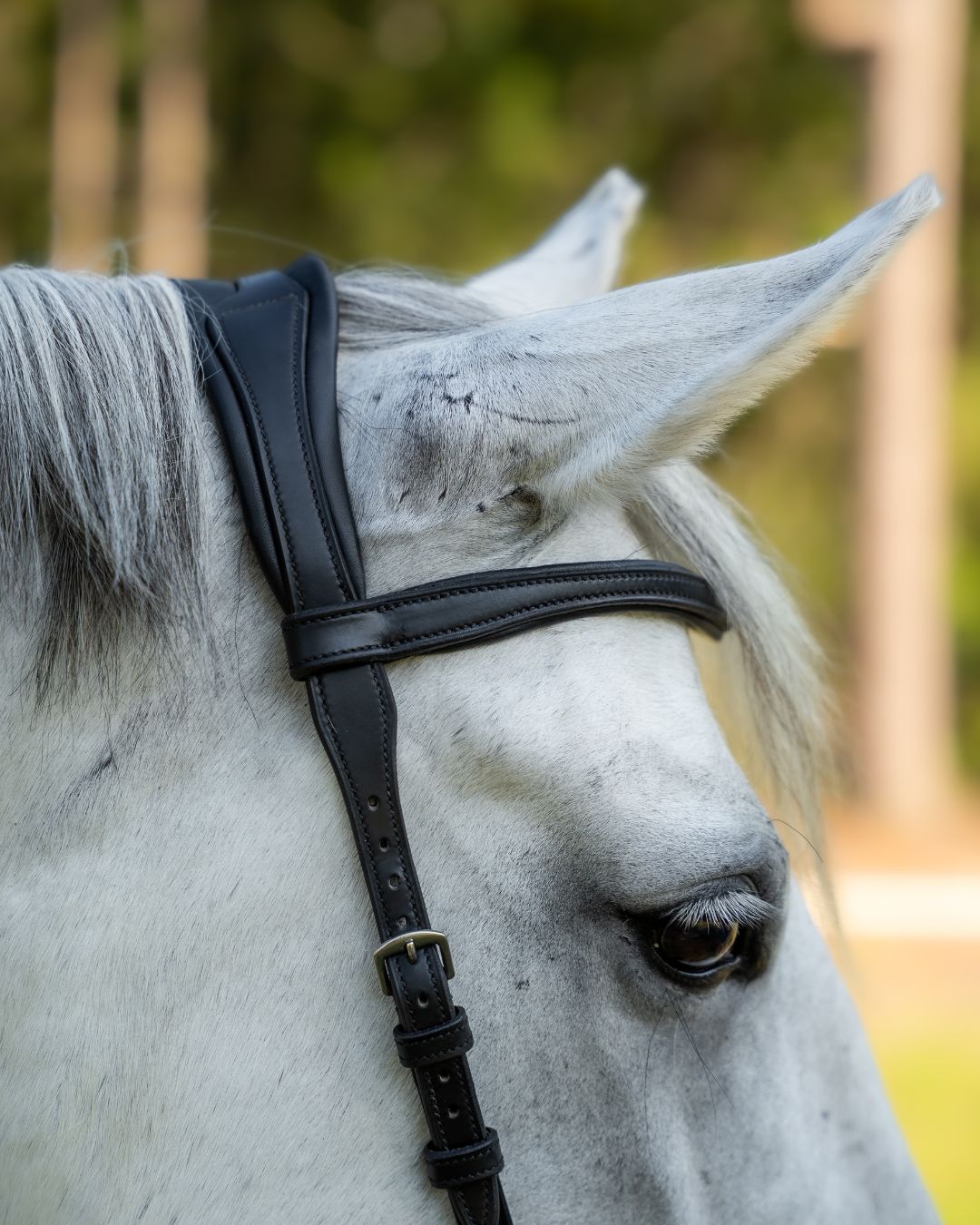 Evolve Comfort Bridle System
