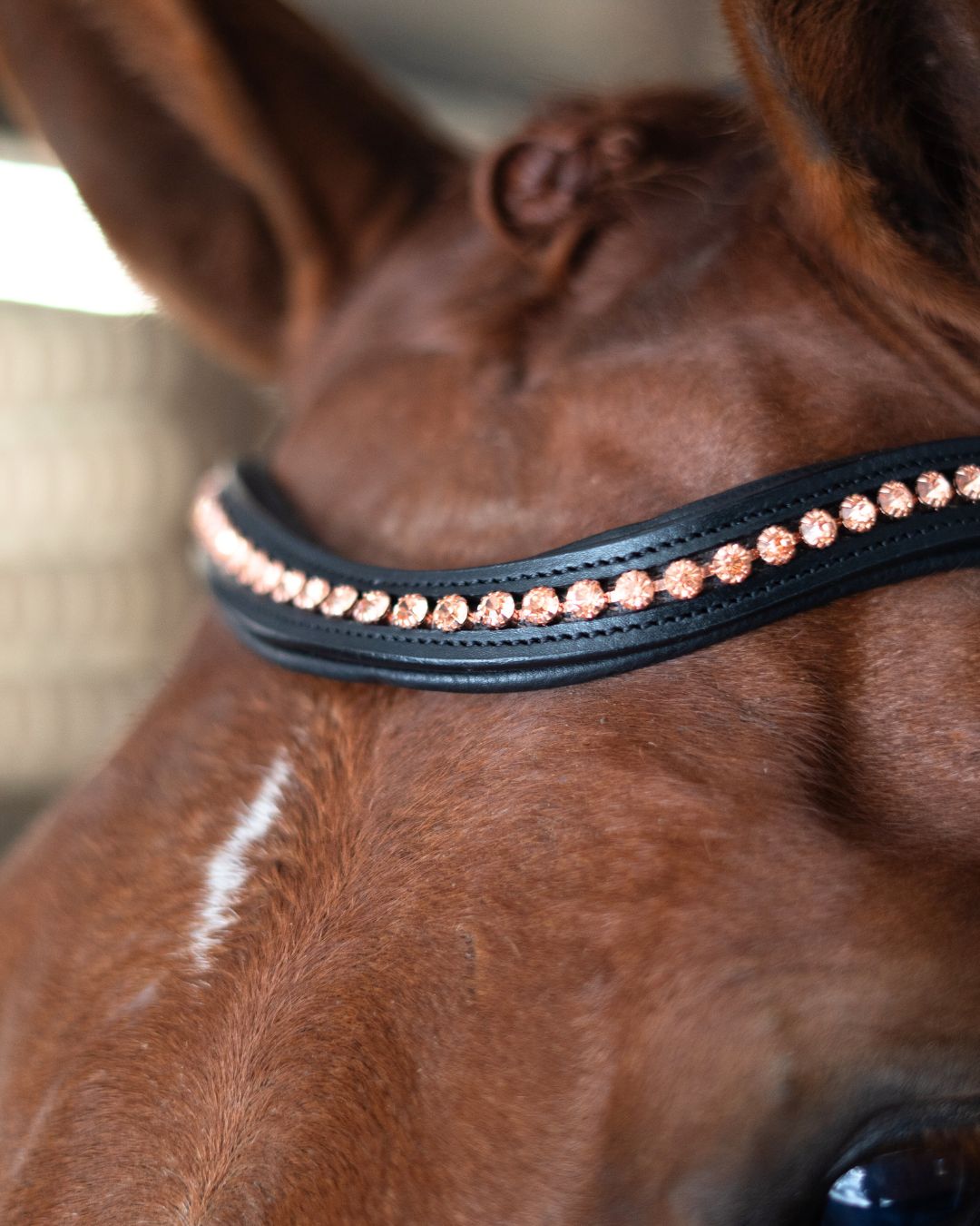 Double Bridle with Crystal Browband, Gold Padding and Reins