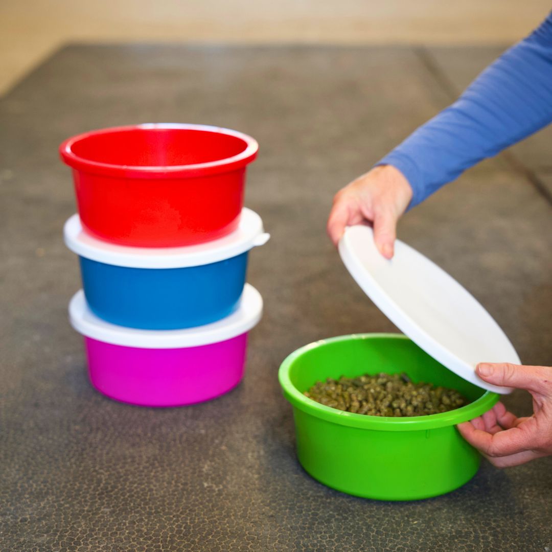 Mini 1 Gallon Small Horse Feed Storage, Treat, & Supplement Bowl with Snap-Lid