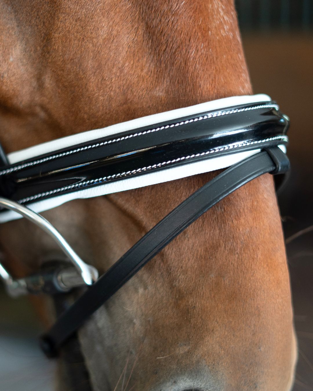 Patent Bridle with White Padding