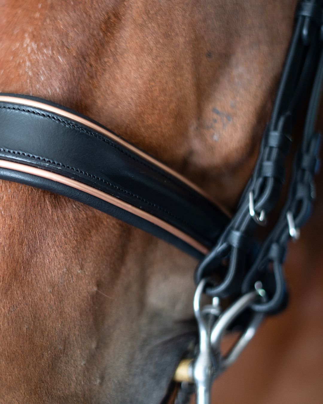 Double Bridle with Crystal Browband, Gold Padding and Reins