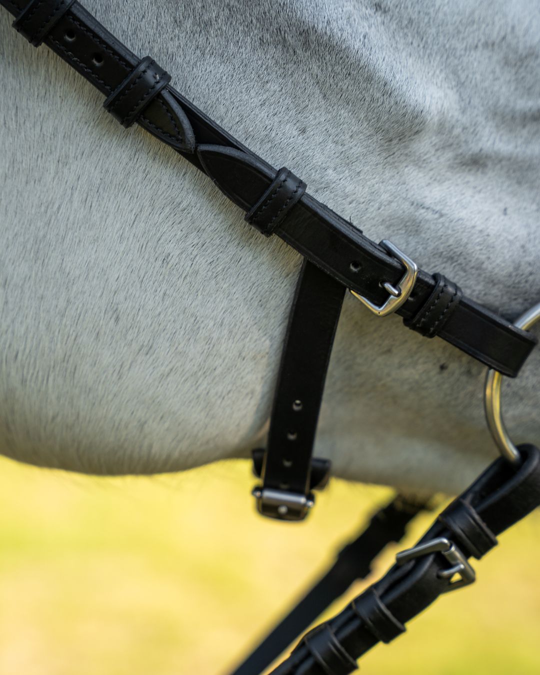 Evolve Comfort Bridle System