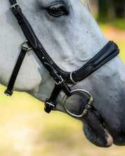 Versa Noseband