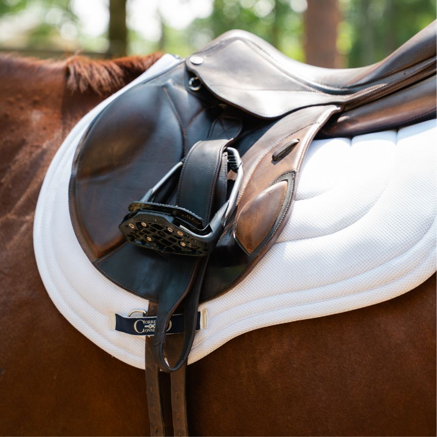 Stable Ride Mono-Stirrup Leather with T-Bars