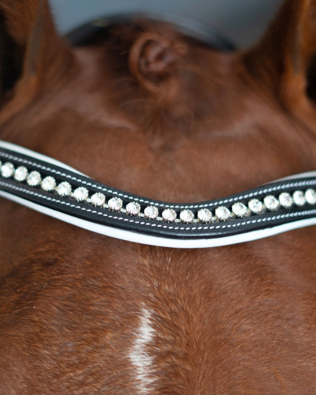Patent Bridle with White Padding