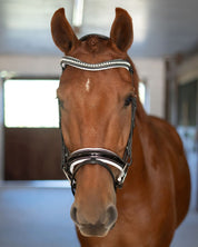 Patent Bridle with White Padding