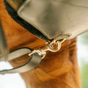 Therapeutic Equine Stretching System