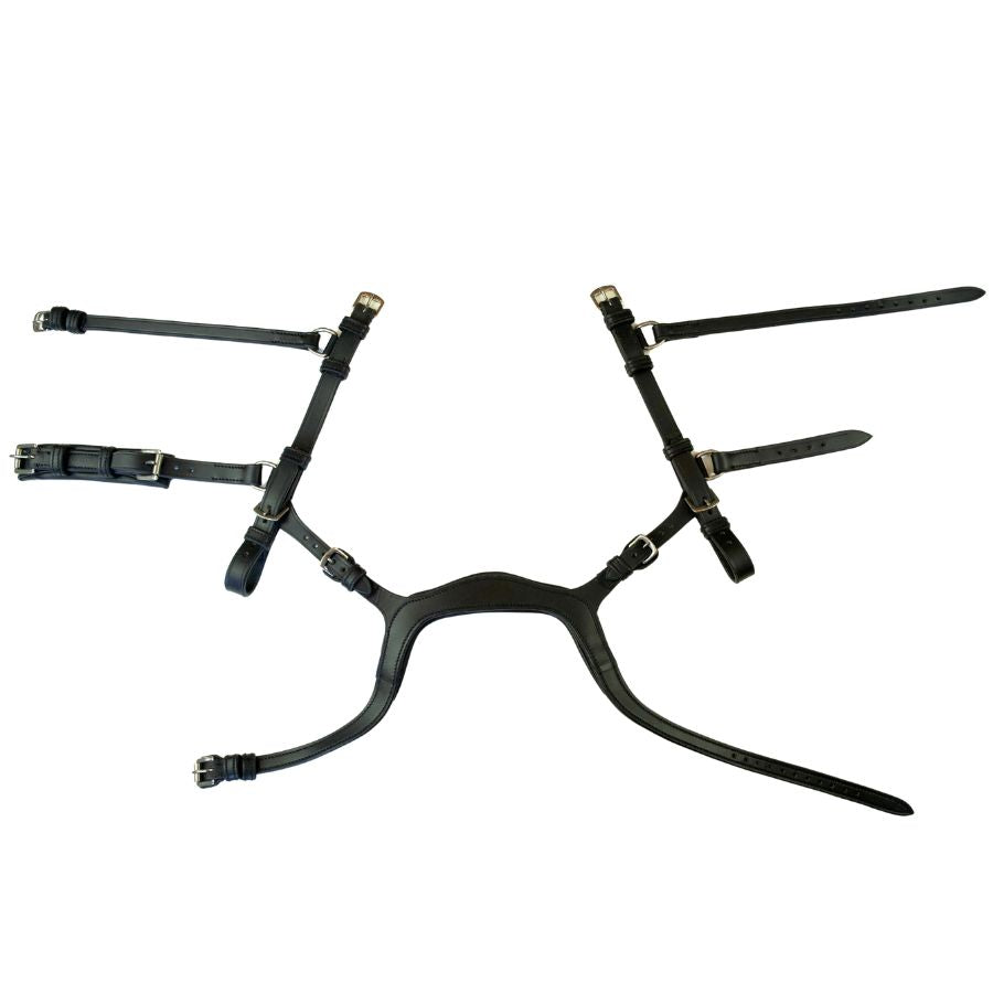 Evolve Comfort Bridle System