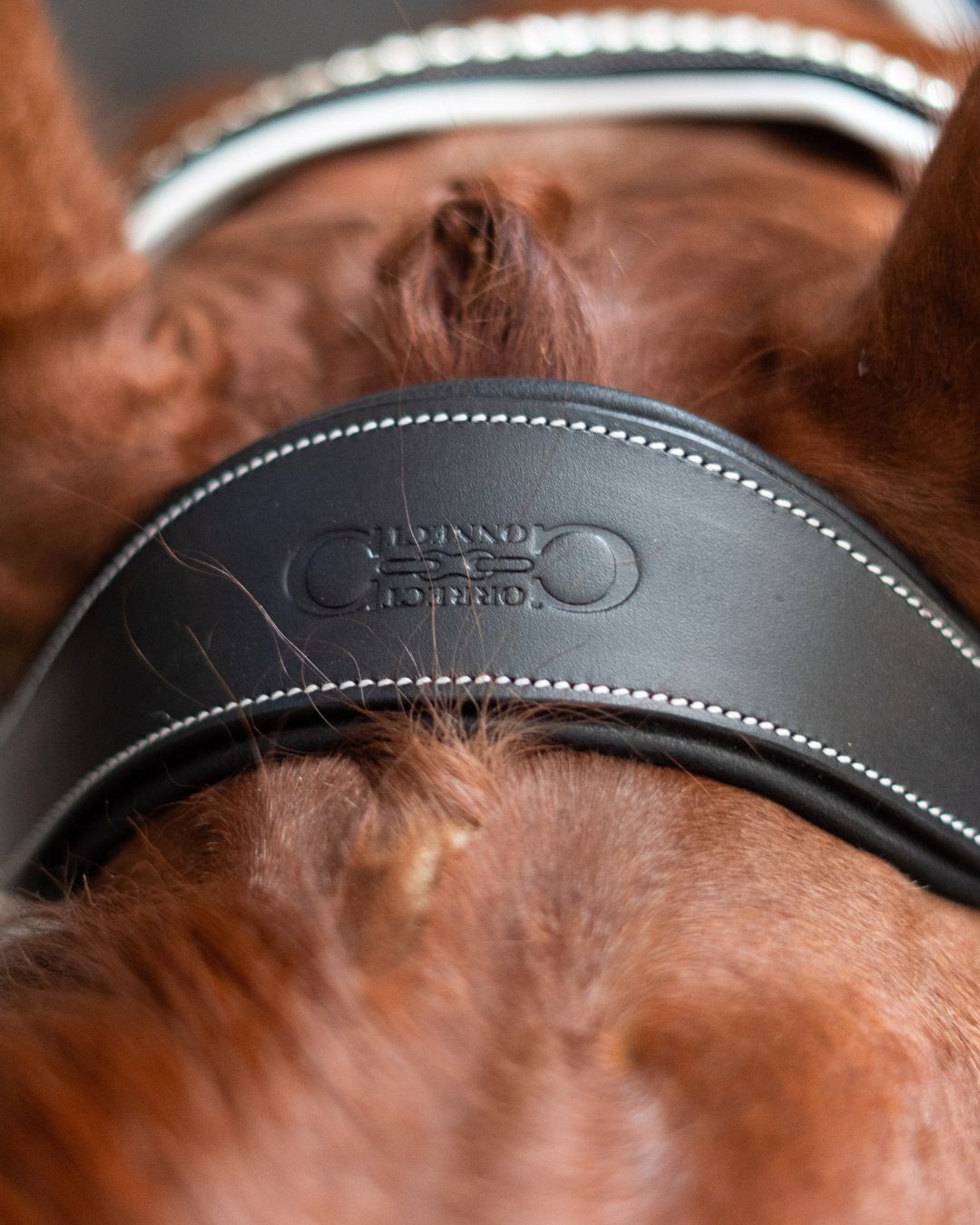 Patent Bridle with White Padding