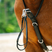 Therapeutic Equine Stretching System
