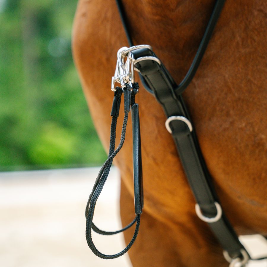 Therapeutic Equine Stretching System
