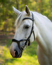 Evolve Comfort Bridle System
