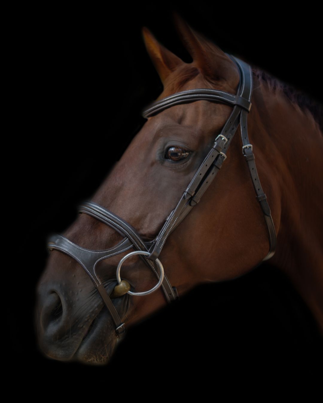 Double Noseband Bridle with White Stiching