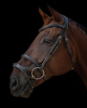 Double Noseband Bridle with White Stiching
