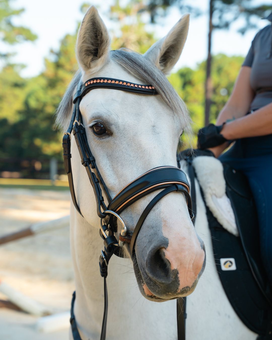 Bridle with Rose Gold Crystal Browband and Rose Gold Padding