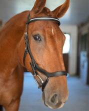 Anatomic Bridle with Crystal Browband