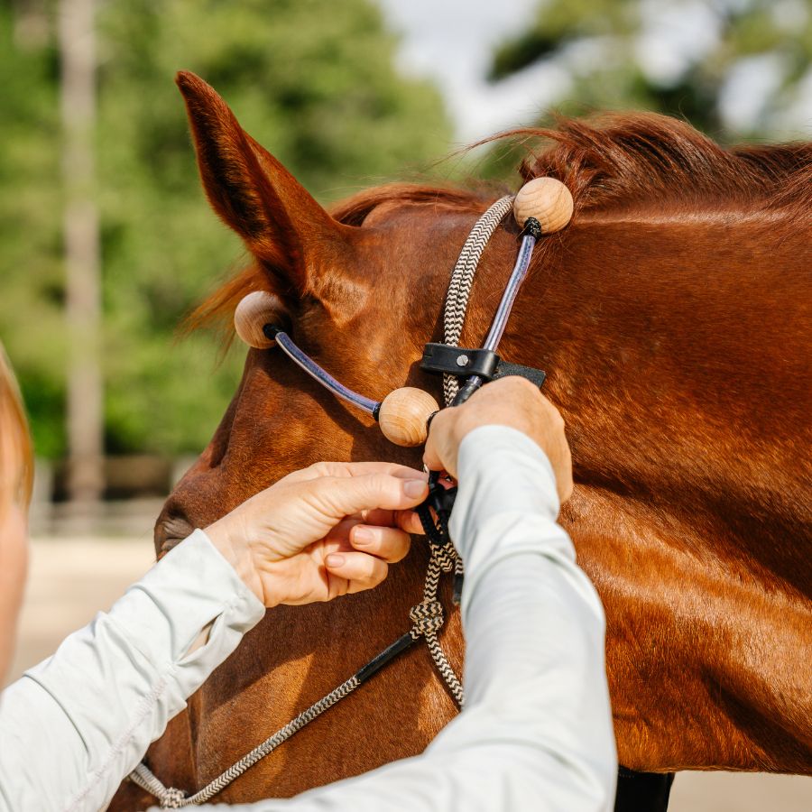 Therapeutic Equine Stretching System