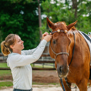 Therapeutic Equine Stretching System