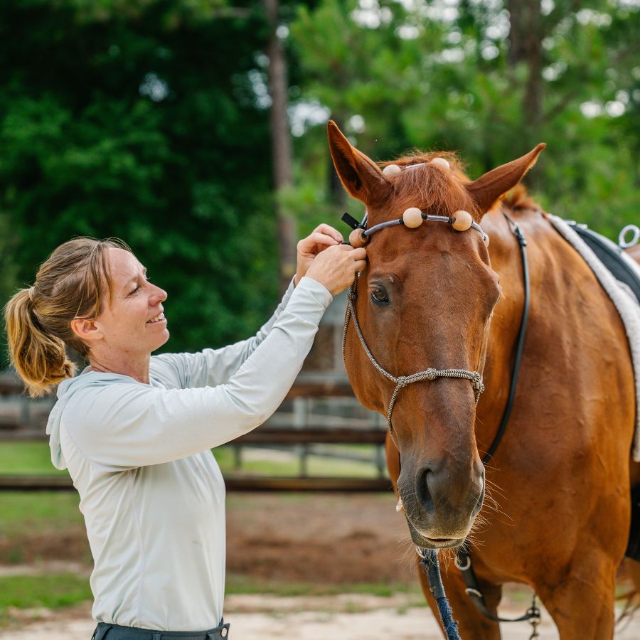 Therapeutic Equine Stretching System
