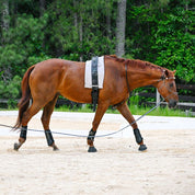 Therapeutic Equine Stretching System