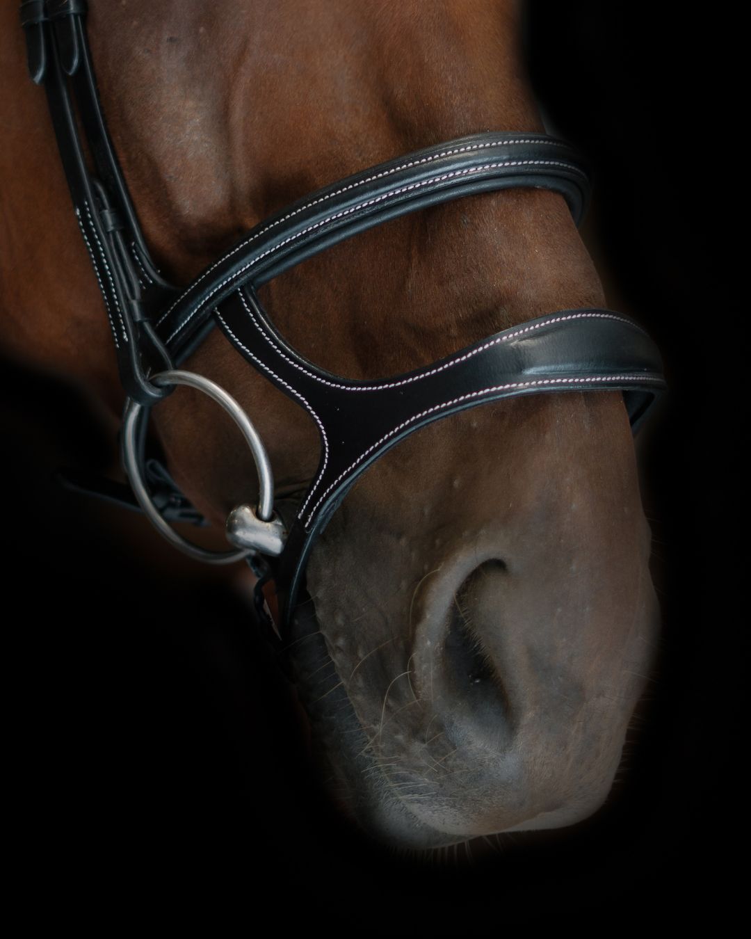 Double Noseband Bridle with White Stiching