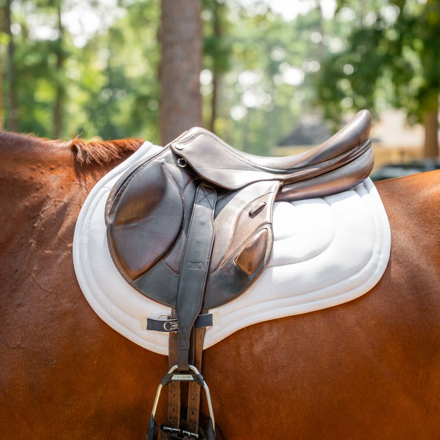 Stable Ride Mono-Stirrup Leather with T-Bars