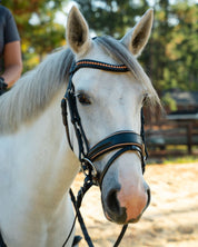 Bridle with Rose Gold Crystal Browband and Rose Gold Padding