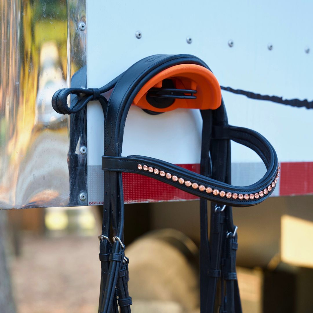 Suction Bridle Holder