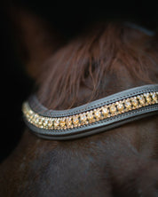 Gold Accented Figure 8 Bridle with Gold Browband
