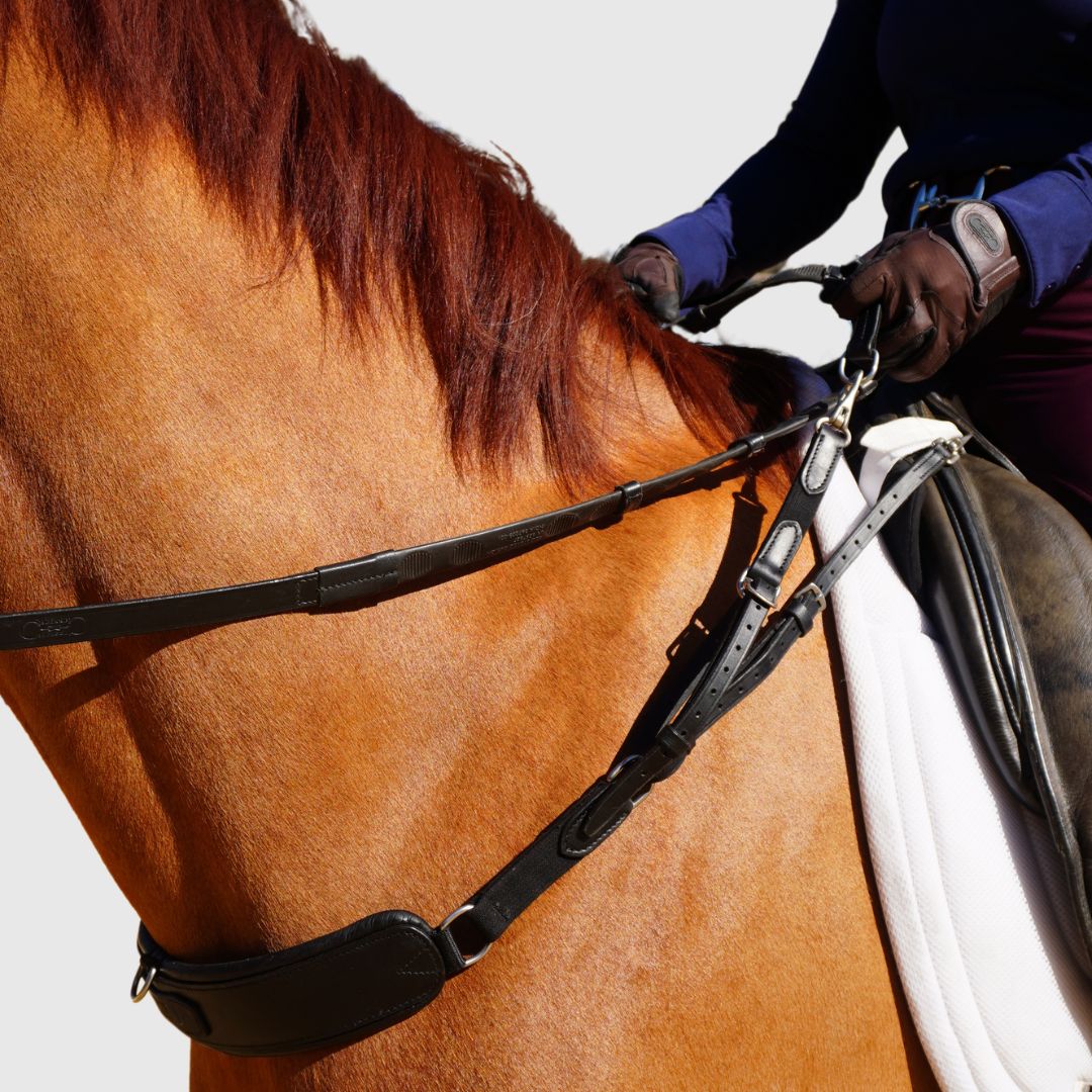 Close up, side angle image of the 3-in-1 Training Breastplate on a brown horse.