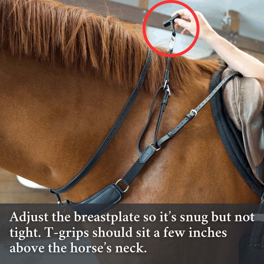 Person adjusting a 3-in-1 Training Breastplate with text on proper breastplate and T-grip placement.