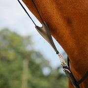 Therapeutic Equine Stretching System