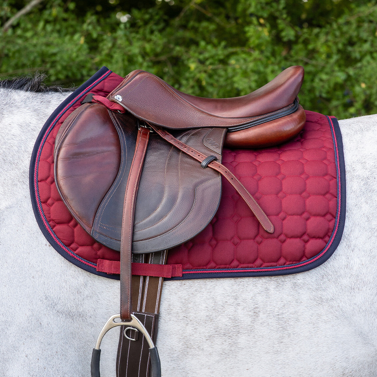 Florence Dressage Pad by QHP