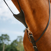 Therapeutic Equine Stretching System