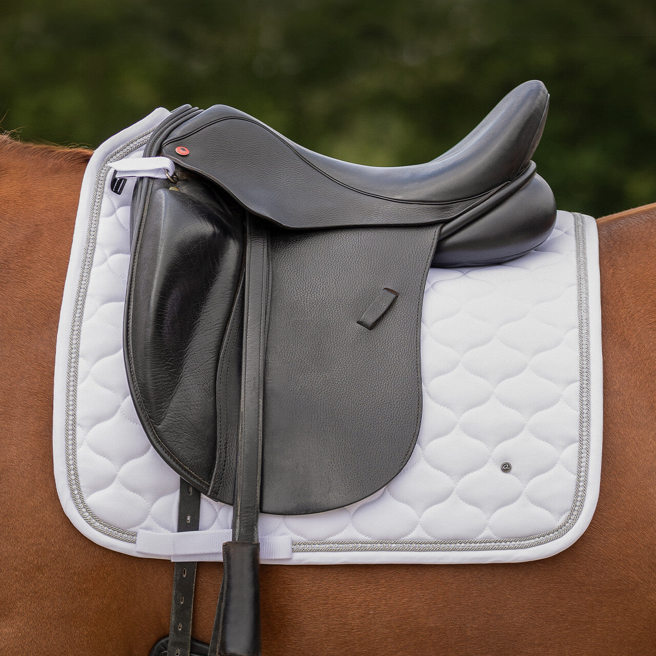 Sparkle Dressage Saddle Pad by QHP