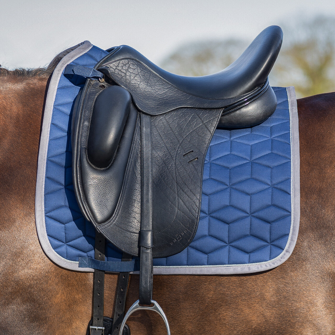QHP Avyra Saddle Pad Dressage