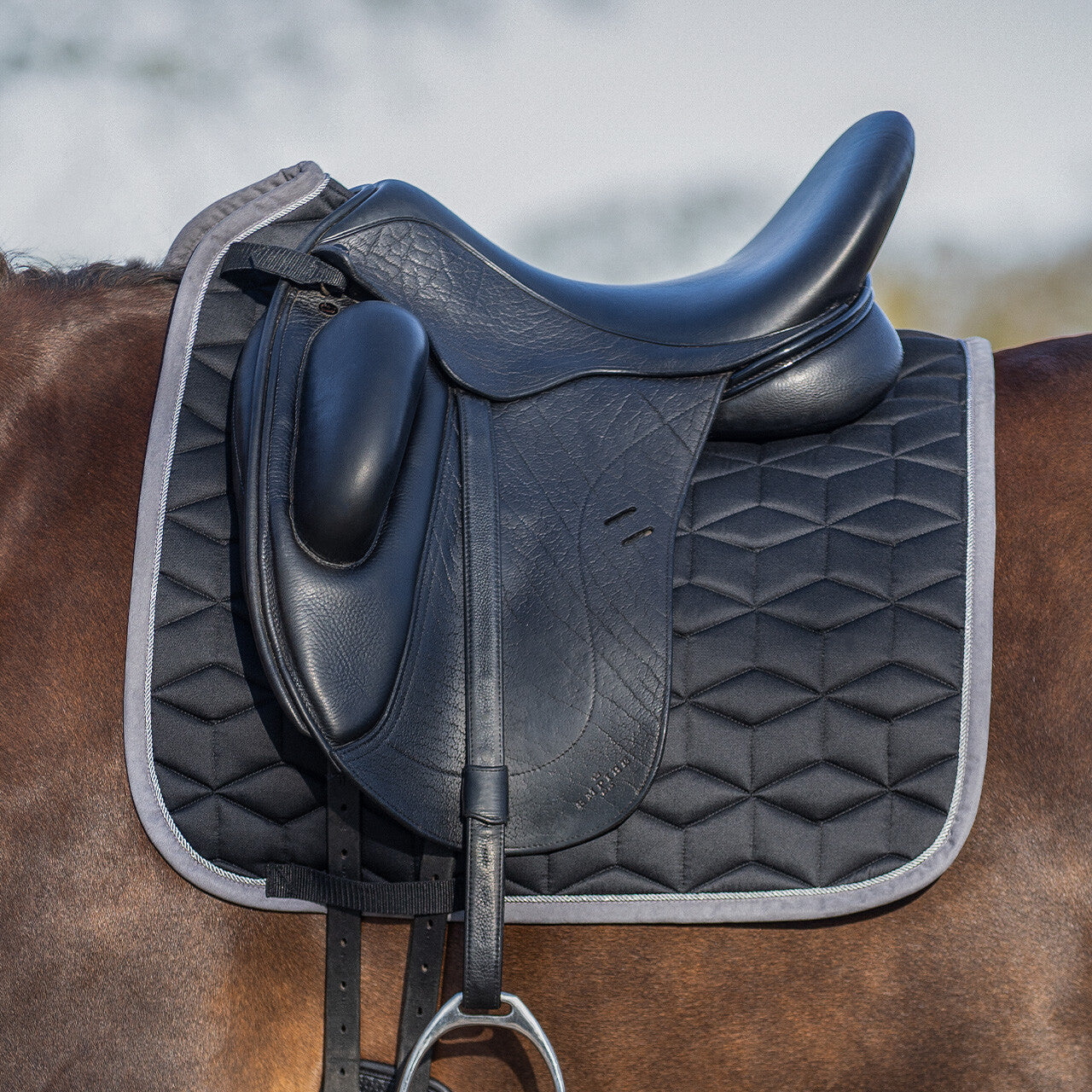 QHP Avyra Saddle Pad Dressage