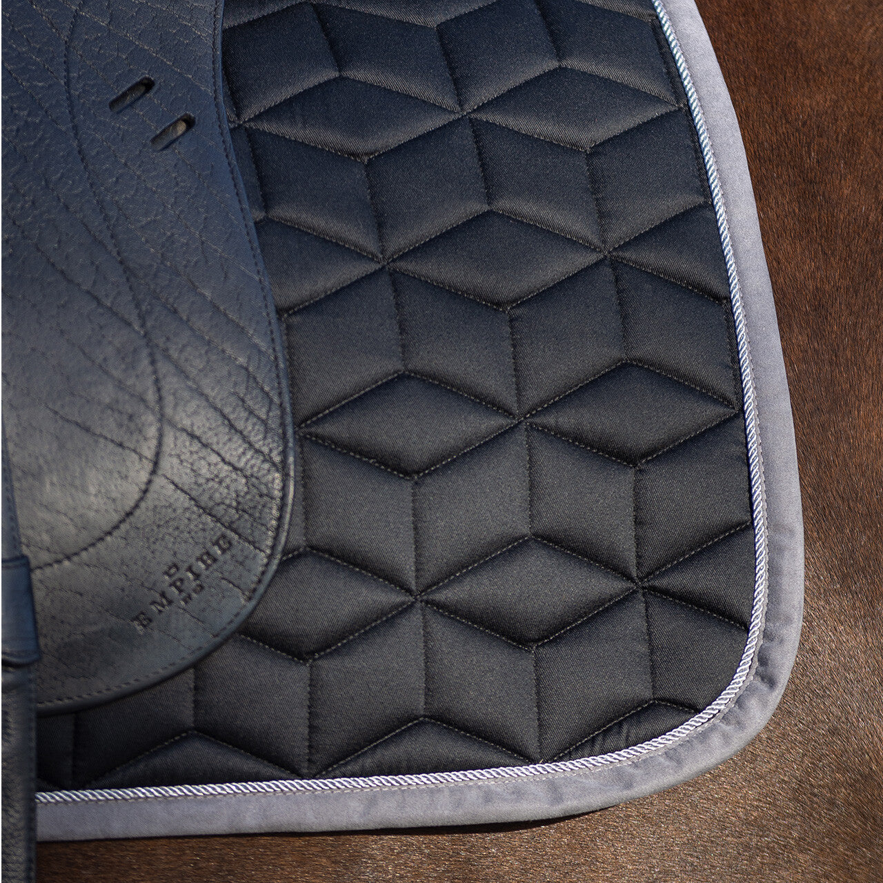 QHP Avyra Saddle Pad All Purpose