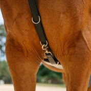 Therapeutic Equine Stretching System
